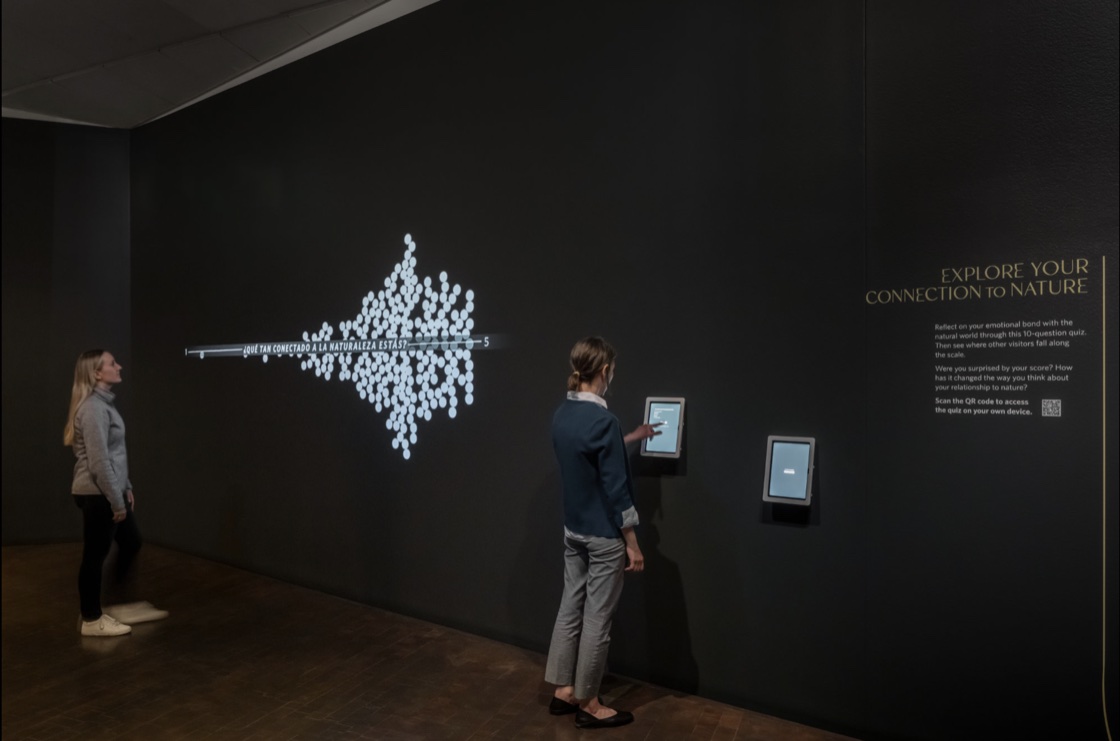 Visitors at the Biophilia exhibition wall — the live projected dot-plot of survey responses, with the iPad stations beside it